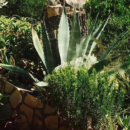 Ana Apartamento Brna