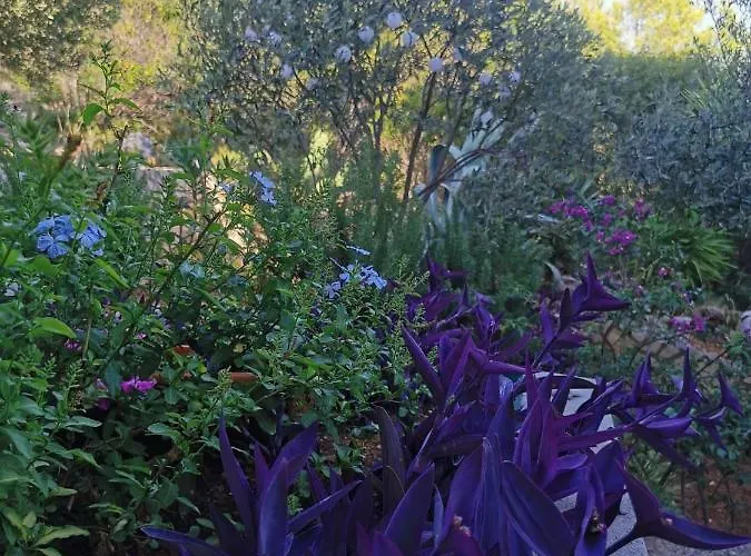 Ana 아파트 브르나