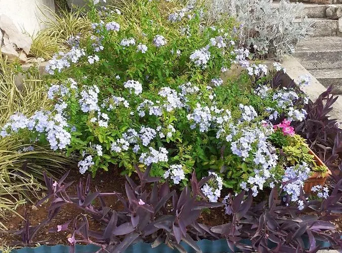 아파트 Ana 브르나