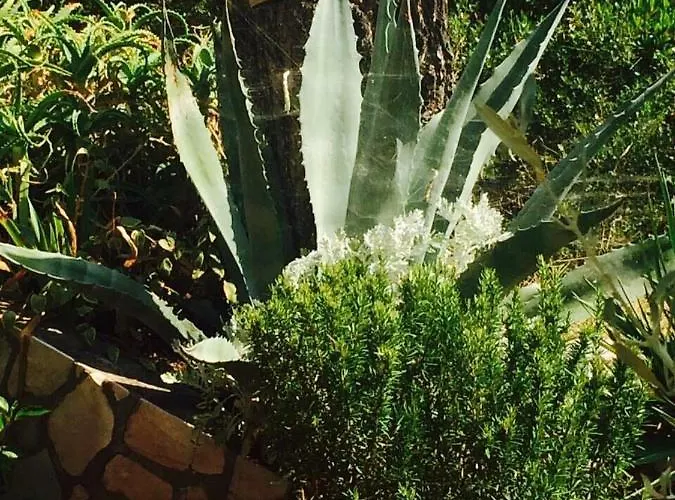 Ana 아파트 브르나